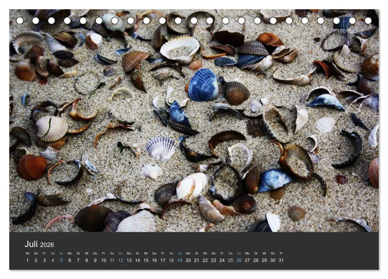 Bild: 9783516031997 | Traumhaftes Zeeland 2026 (Tischkalender 2026 DIN A5 quer), CALVENDO...