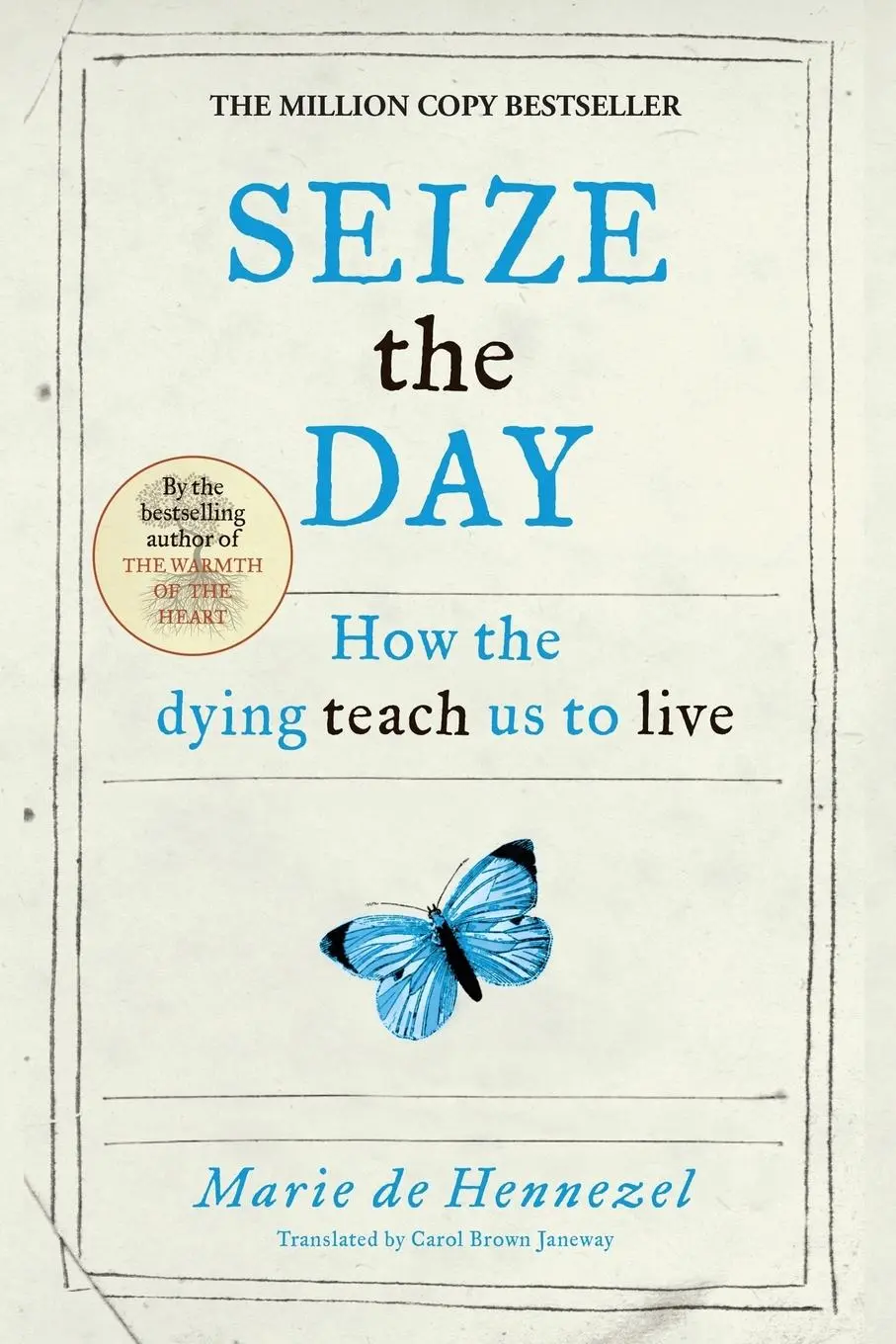 Cover: 9781509812097 | Seize the Day | How the dying teach us to live | Marie De Hennezel