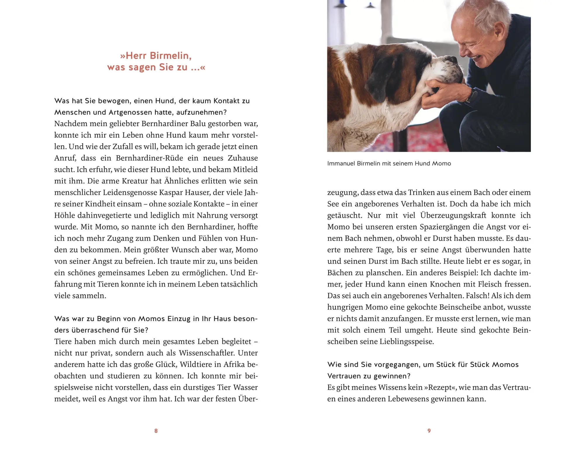 Bild: 9783833882197 | Eine zweite Chance für Momo | Immanuel Birmelin | Buch | 240 S. | 2023