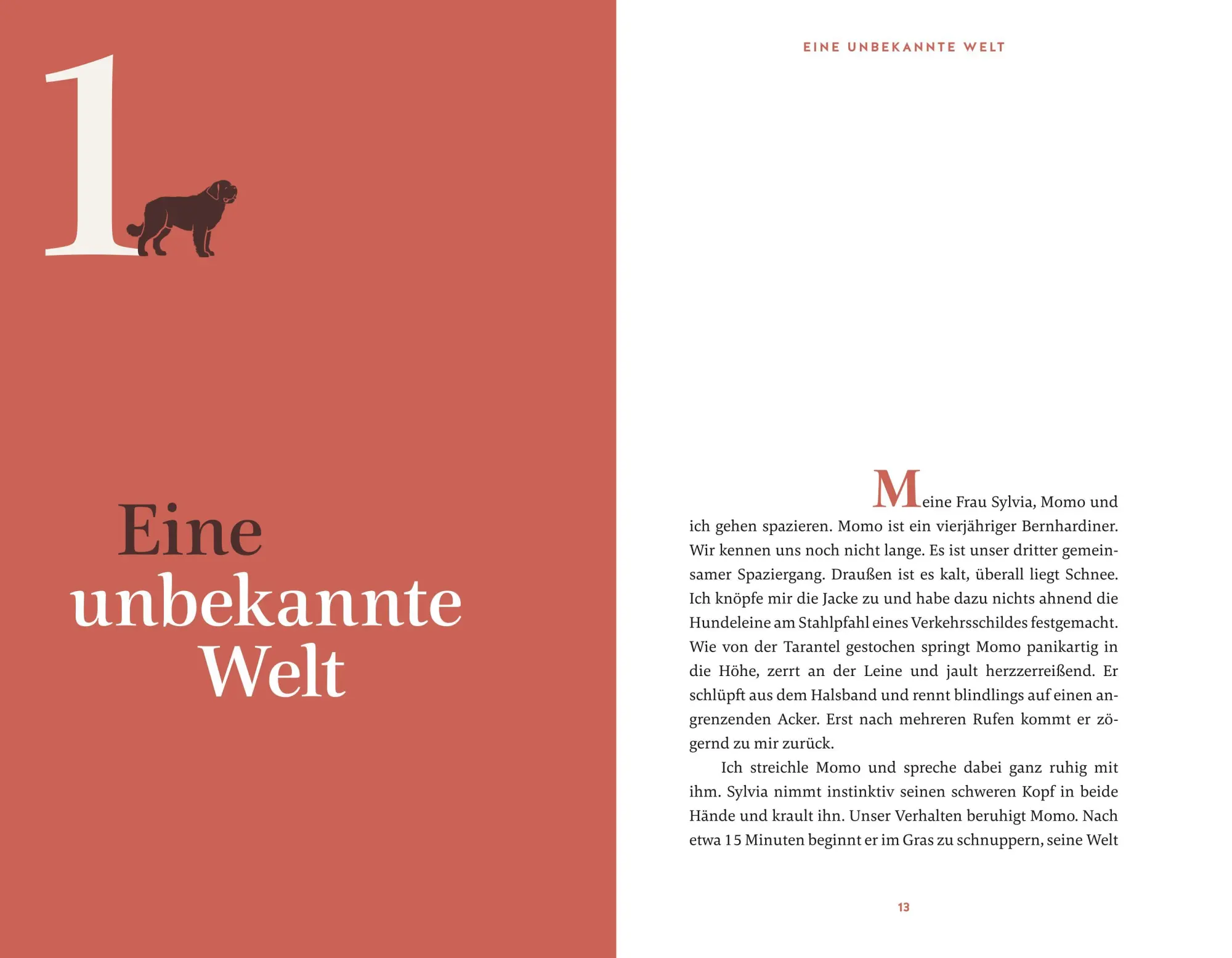 Bild: 9783833882197 | Eine zweite Chance für Momo | Immanuel Birmelin | Buch | 240 S. | 2023