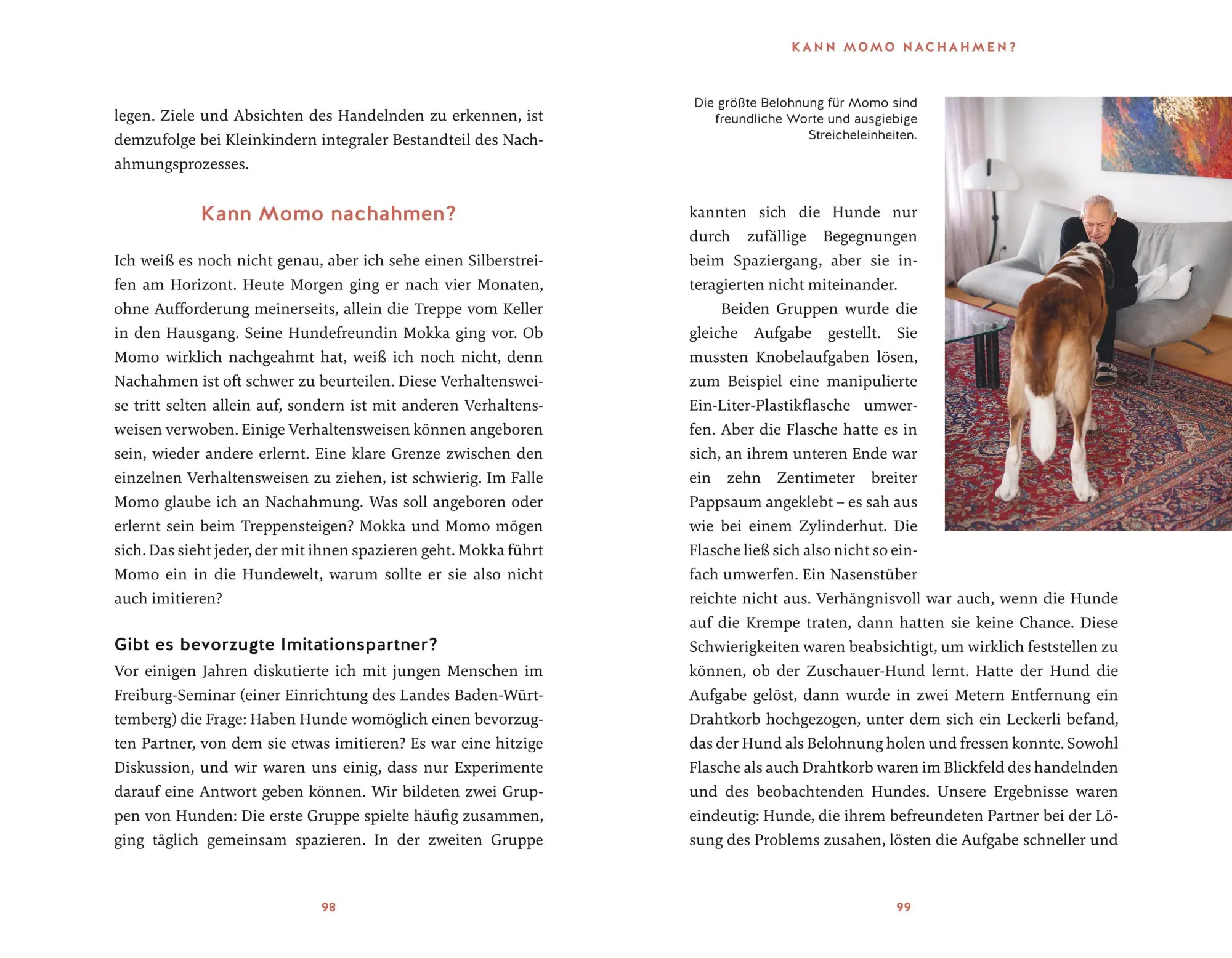Bild: 9783833882197 | Eine zweite Chance für Momo | Immanuel Birmelin | Buch | 240 S. | 2023