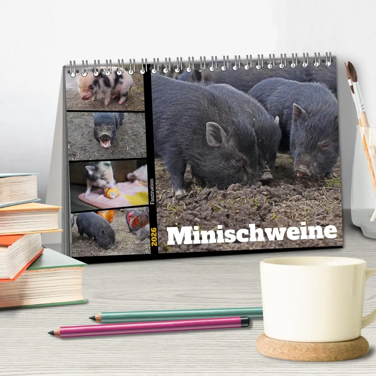 Bild: 9783457432297 | Faszination Minischweine (Tischkalender 2026 DIN A5 quer), CALVENDO...