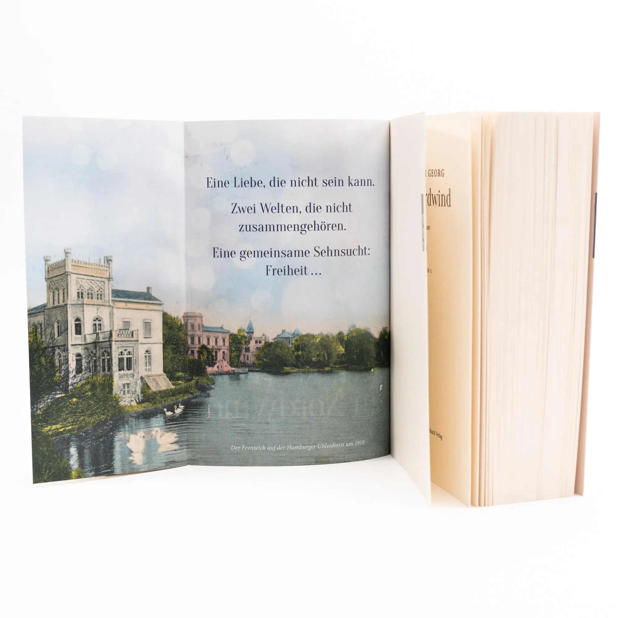 Bild: 9783499012297 | Im Nordwind | Miriam Georg | Taschenbuch | Die Nordwind-Saga | 592 S.