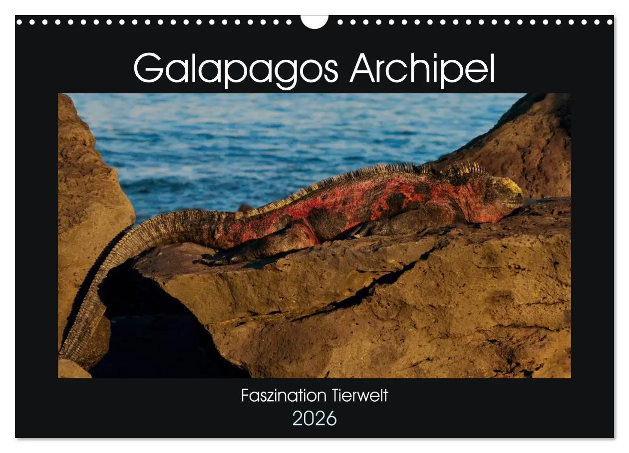 Cover: 9783516142297 | Galapagos Archipel- Faszination Tierwelt (Wandkalender 2026 DIN A3...