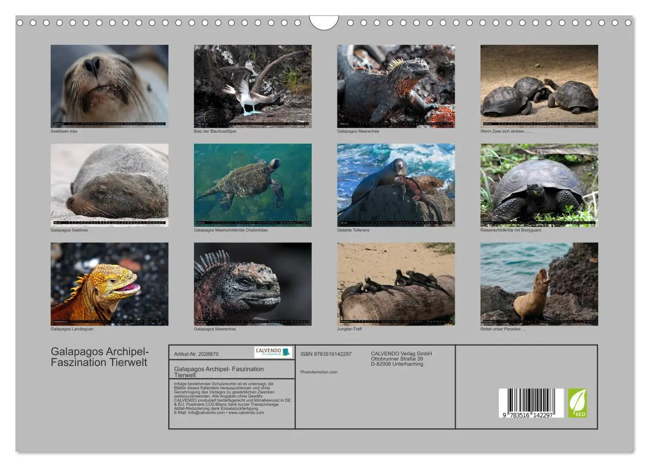 Bild: 9783516142297 | Galapagos Archipel- Faszination Tierwelt (Wandkalender 2026 DIN A3...
