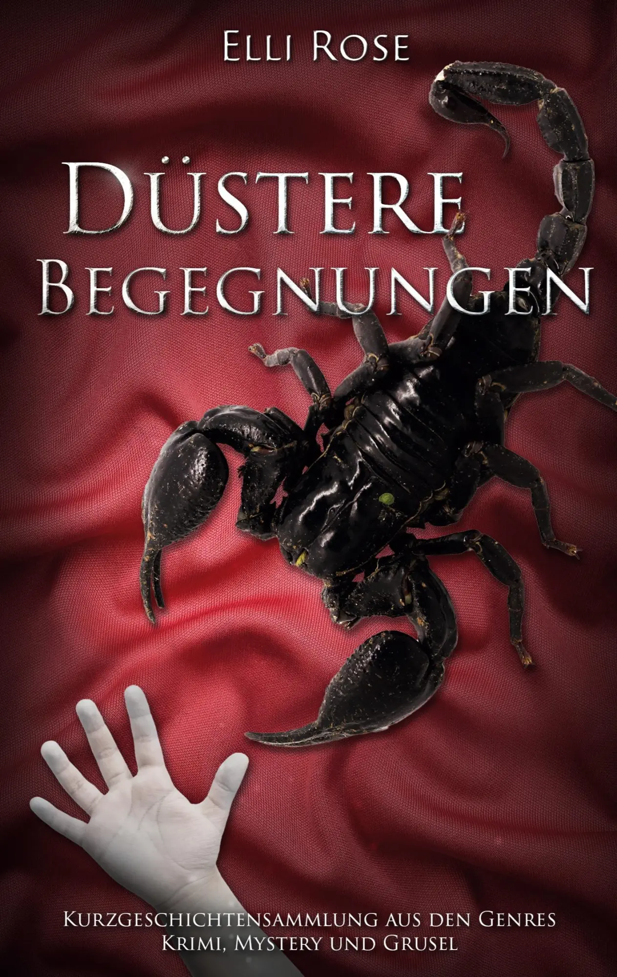 Cover: 9783752692297 | Düstere Begegnungen | Elli Rose | Taschenbuch | 164 S. | Deutsch