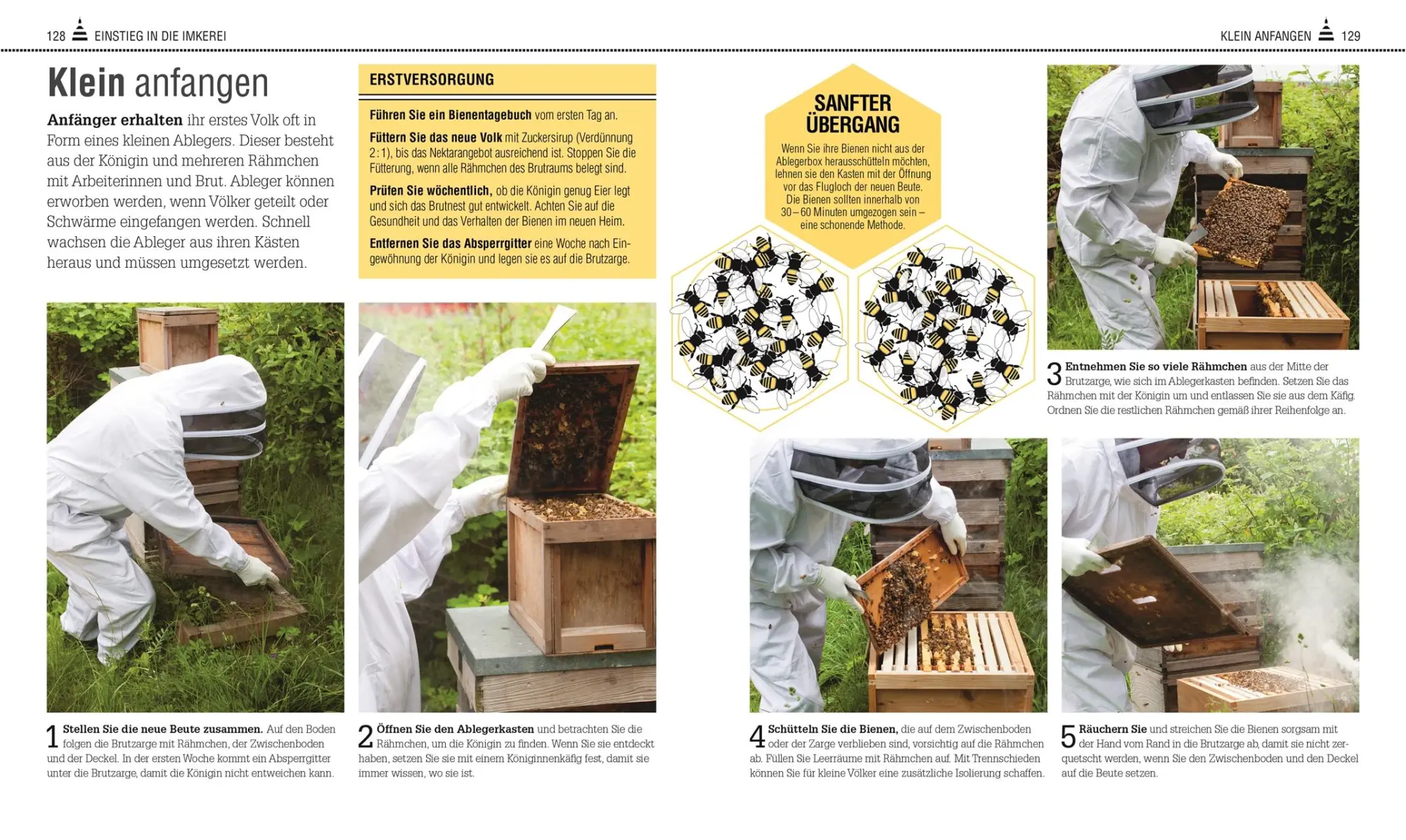 Bild: 9783831032297 | Das Bienen Buch | Bienen verstehen, schützen und halten | Buch | 2017