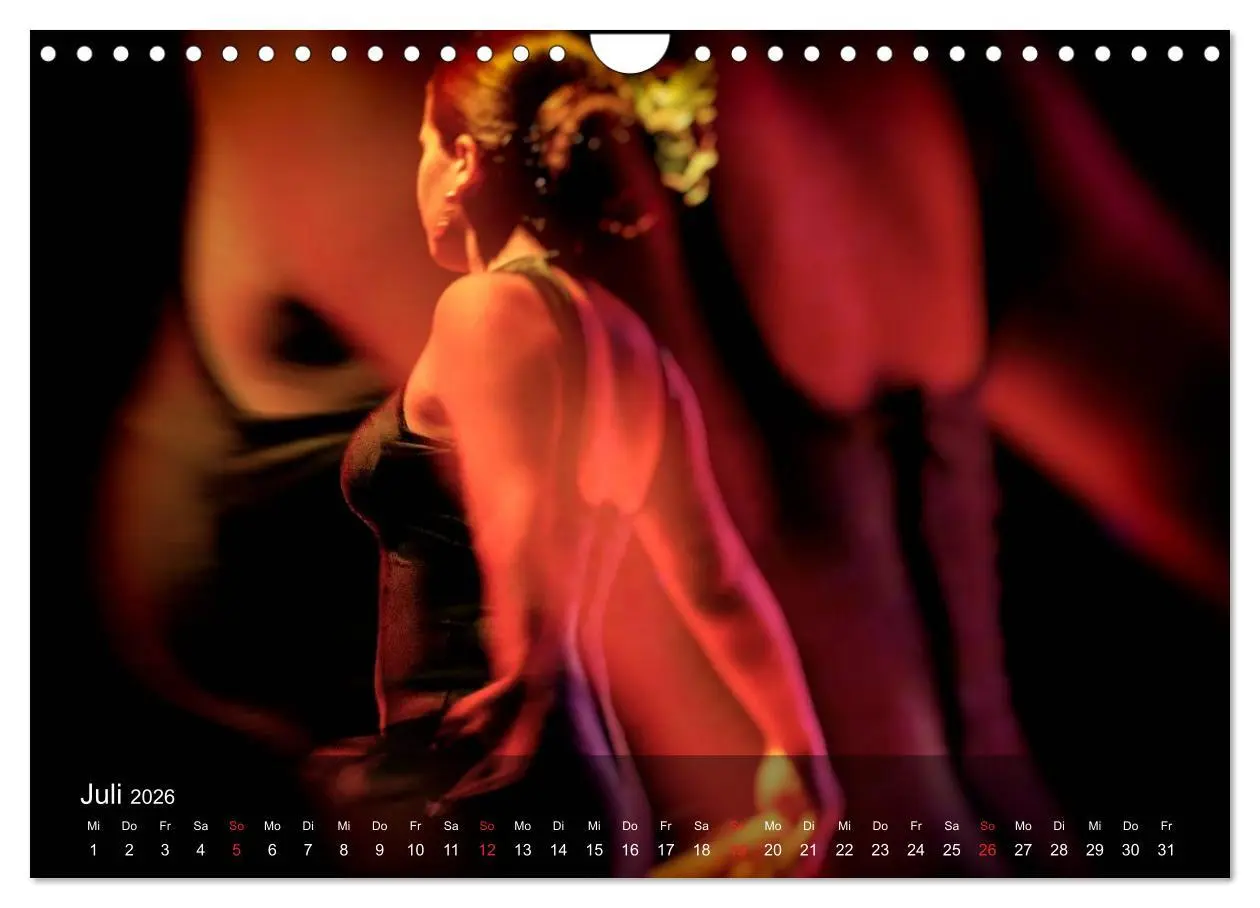 Bild: 9783516132397 | Flamenco - Tanz der Leidenschaft (Wandkalender 2026 DIN A4 quer),...