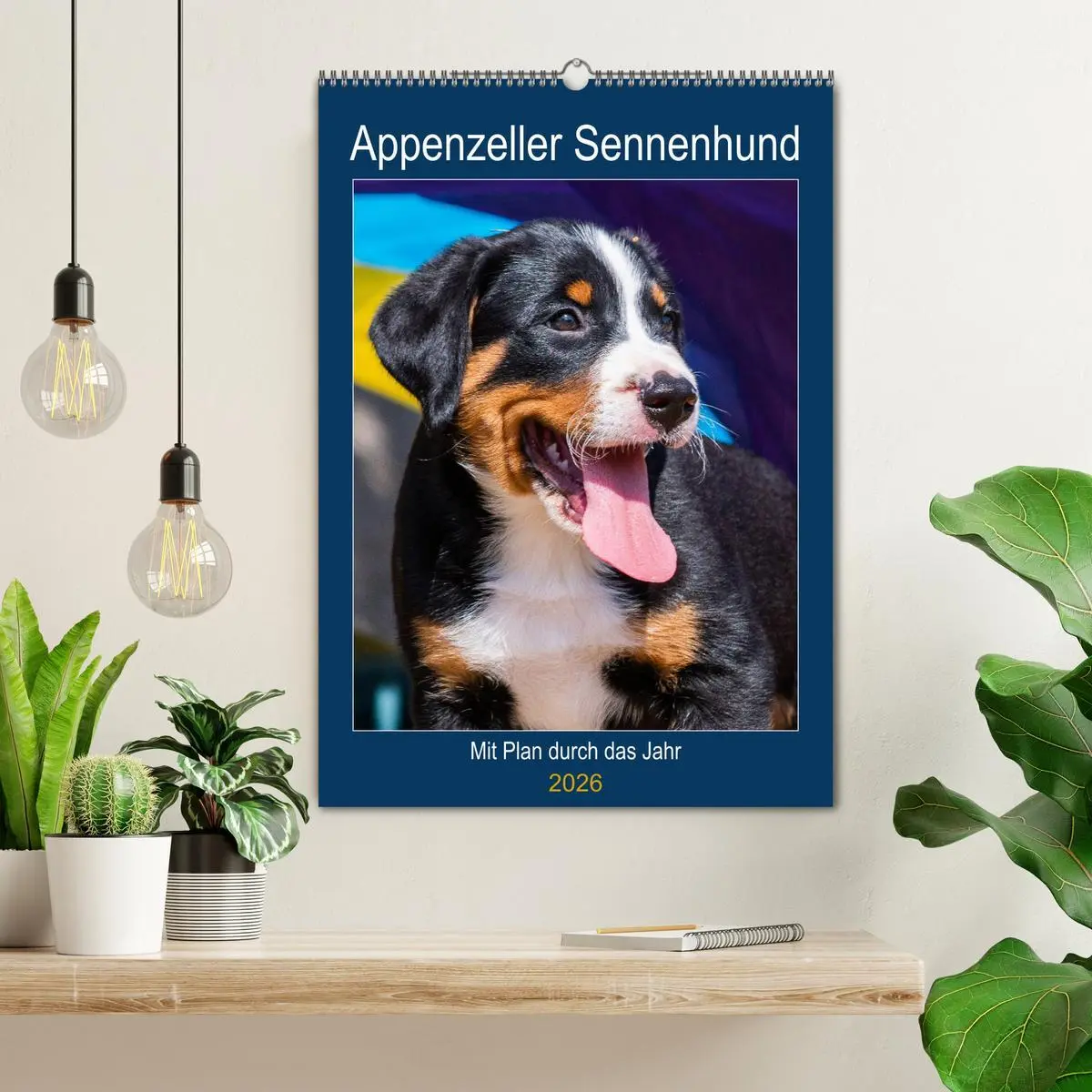 Bild: 9783516372397 | Appenzeller Sennenhund - Mit Plan durch das Jahr (Wandkalender 2026...