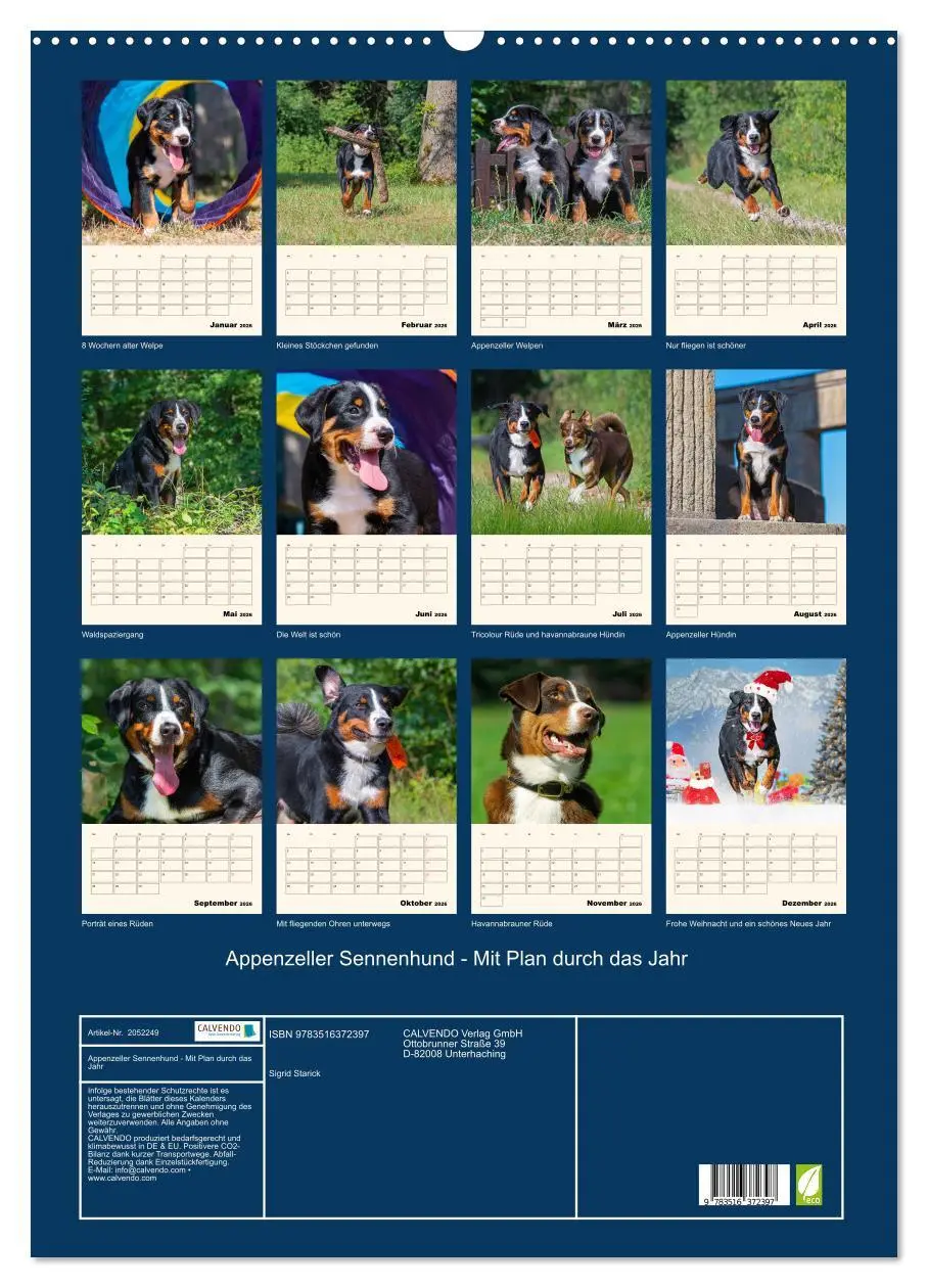 Bild: 9783516372397 | Appenzeller Sennenhund - Mit Plan durch das Jahr (Wandkalender 2026...