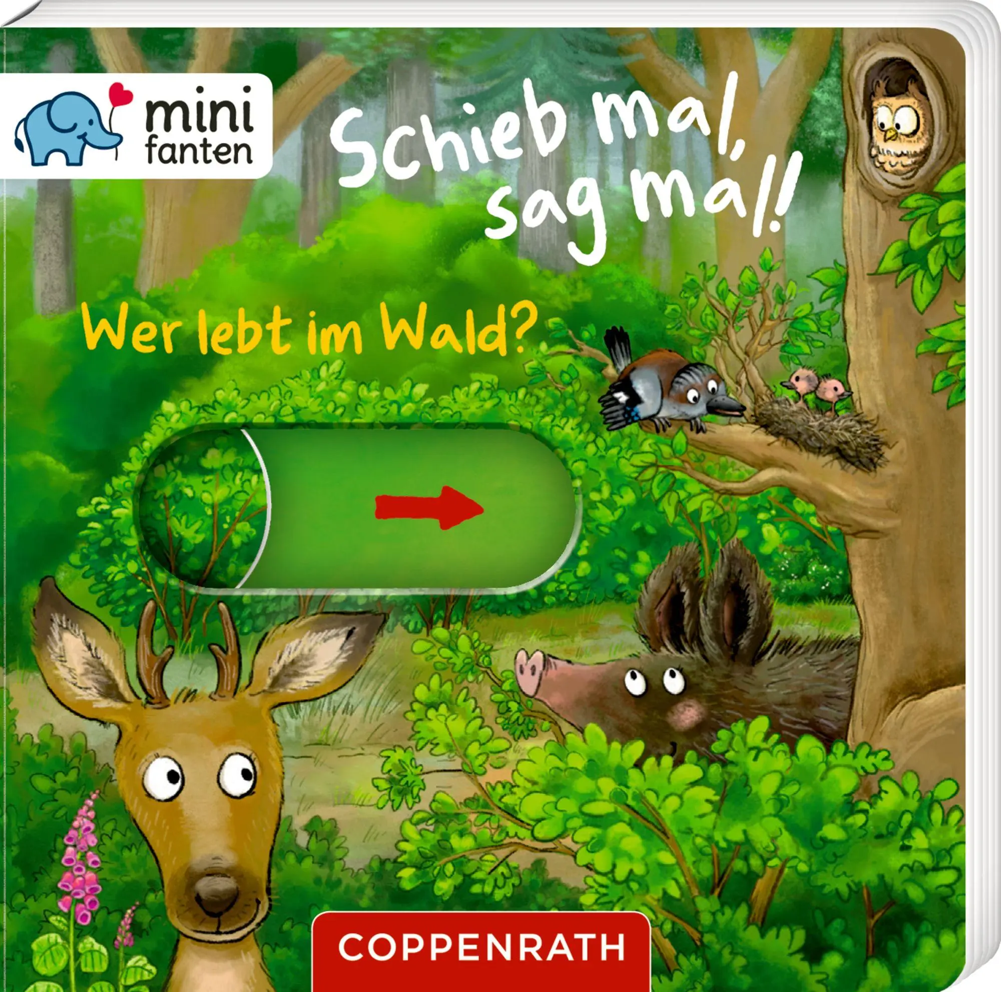 Bild: 9783649652397 | minifanten 48: Schieb mal, sag mal! Wer lebt im Wald? | Kerstin Völker