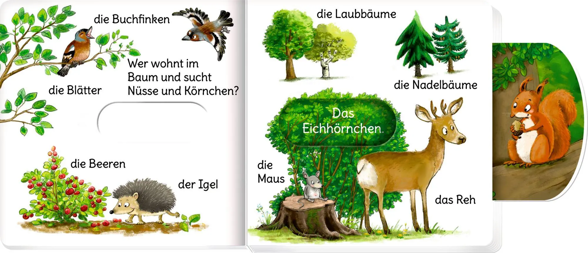 Bild: 9783649652397 | minifanten 48: Schieb mal, sag mal! Wer lebt im Wald? | Kerstin Völker