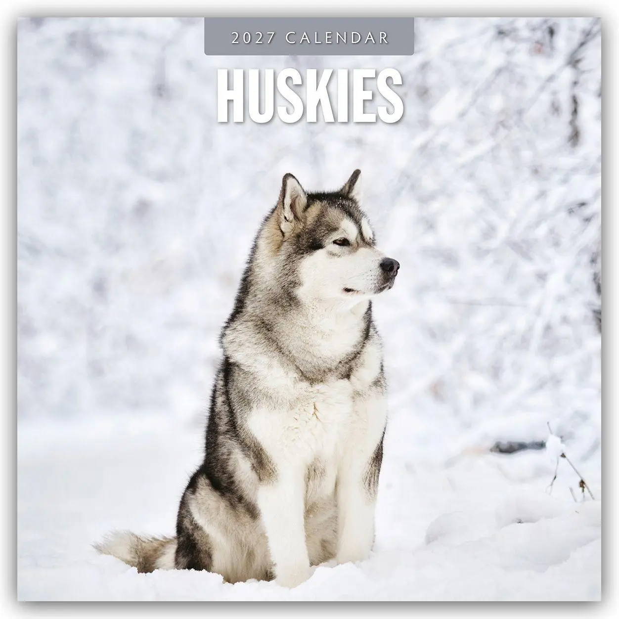 Cover: 9781837012497 | Huskies - Husky - Huskys 2027 - 16-Monatskalender | Robin Red | 28 S.