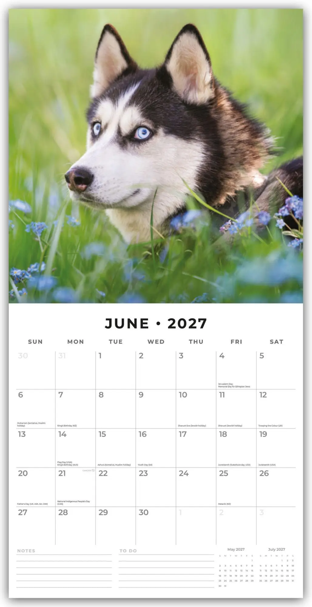 Bild: 9781837012497 | Huskies - Husky - Huskys 2027 - 16-Monatskalender | Robin Red | 28 S.