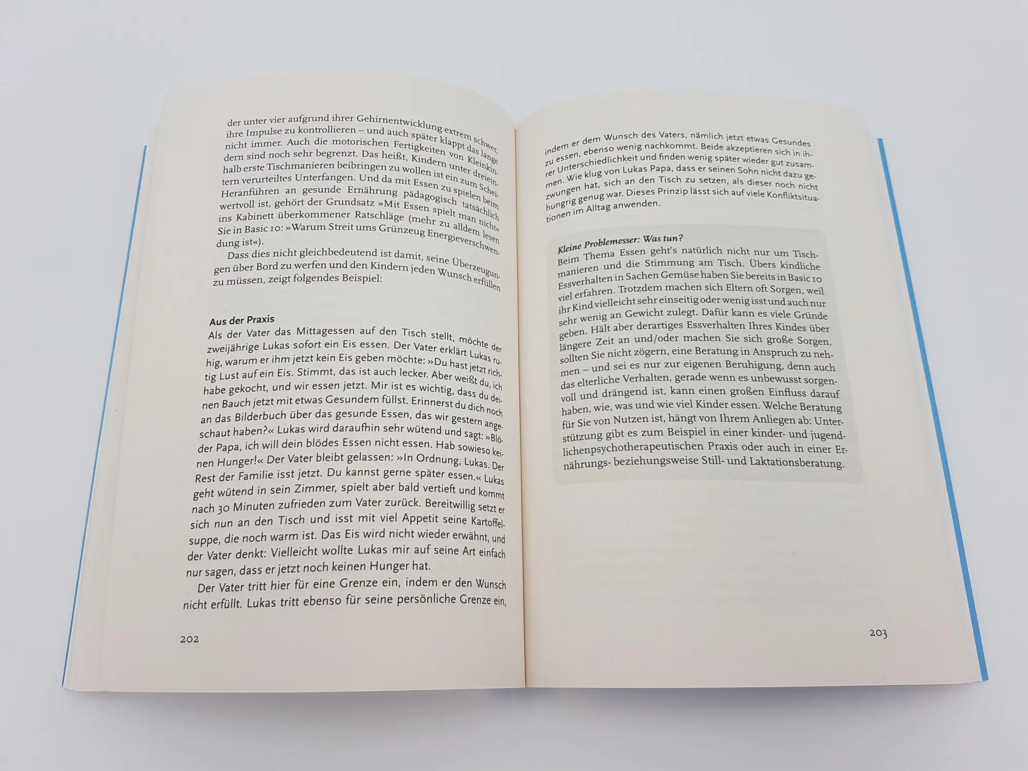 Bild: 9783492062497 | Wild Child | Eliane Retz (u. a.) | Taschenbuch | 384 S. | Deutsch
