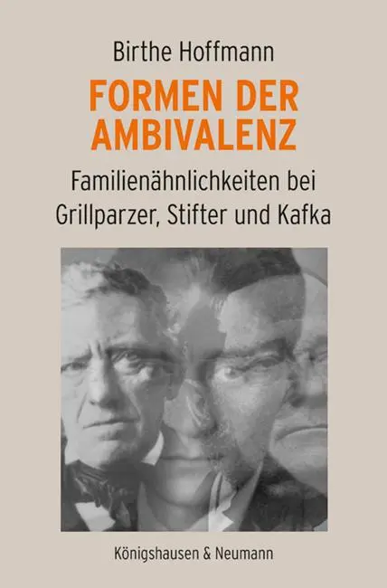 Cover: 9783826092497 | Formen der Ambivalenz | Birthe Hoffmann | Taschenbuch | 406 S. | 2025