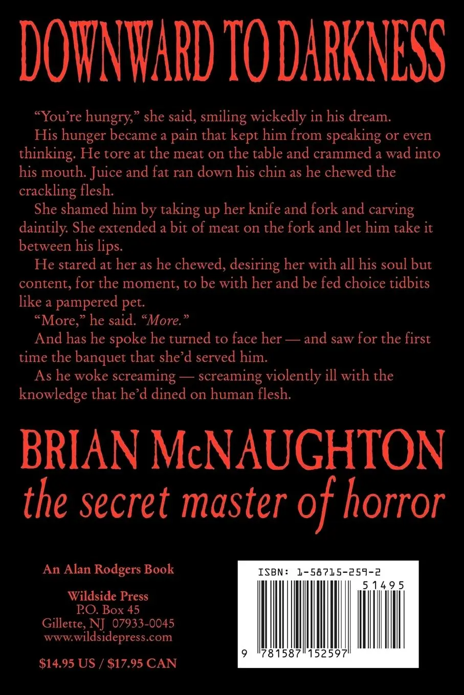Rückseite: 9781587152597 | Downward to Darkness | Brian Mcnaughton | Taschenbuch | Englisch
