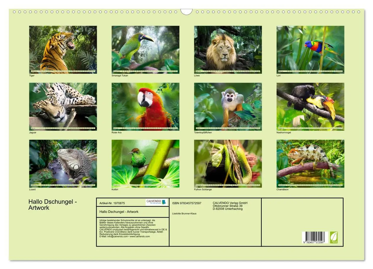 Bild: 9783457572597 | Hallo Dschungel - Artwork (Wandkalender 2026 DIN A2 quer), CALVENDO...