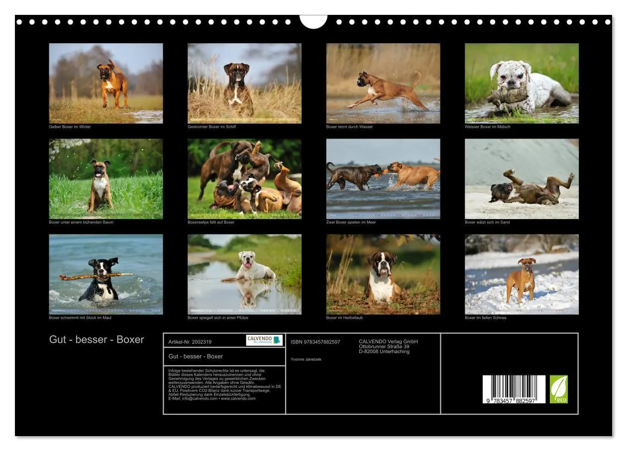 Bild: 9783457882597 | Gut - besser - Boxer (Wandkalender 2026 DIN A3 quer), CALVENDO...