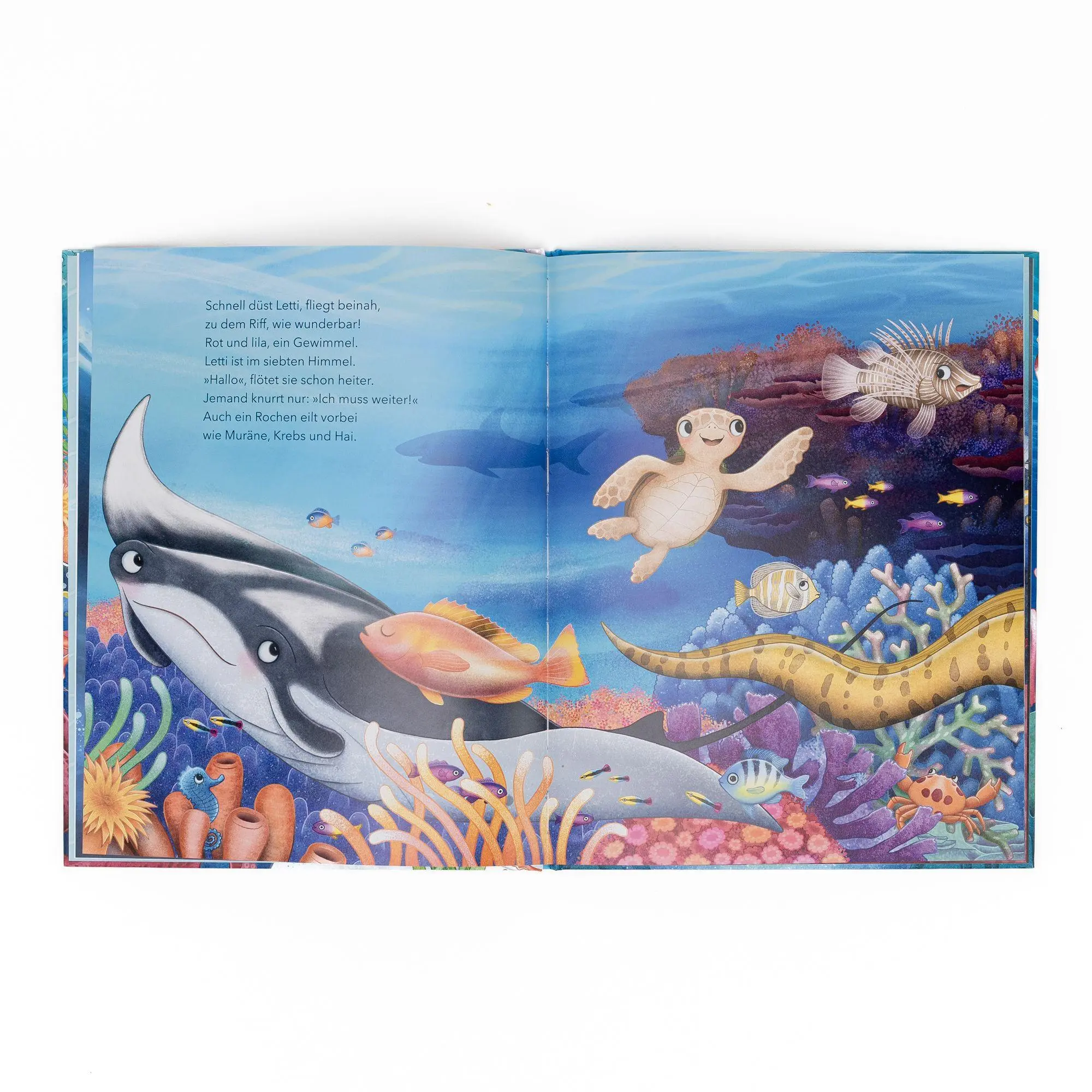 Bild: 9783505152597 | Eine Geburtstagsfeier für Letti | Verena Linde | Buch | 32 S. | 2026