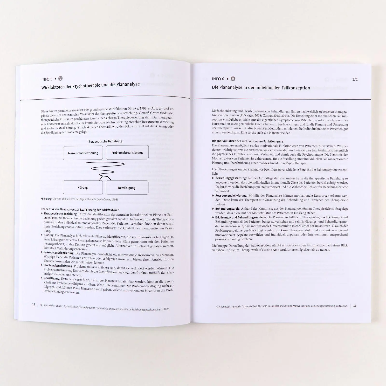 Bild: 9783621292597 | Therapie-Basics Plananalyse und Motivorientierte Beziehungsgestaltung