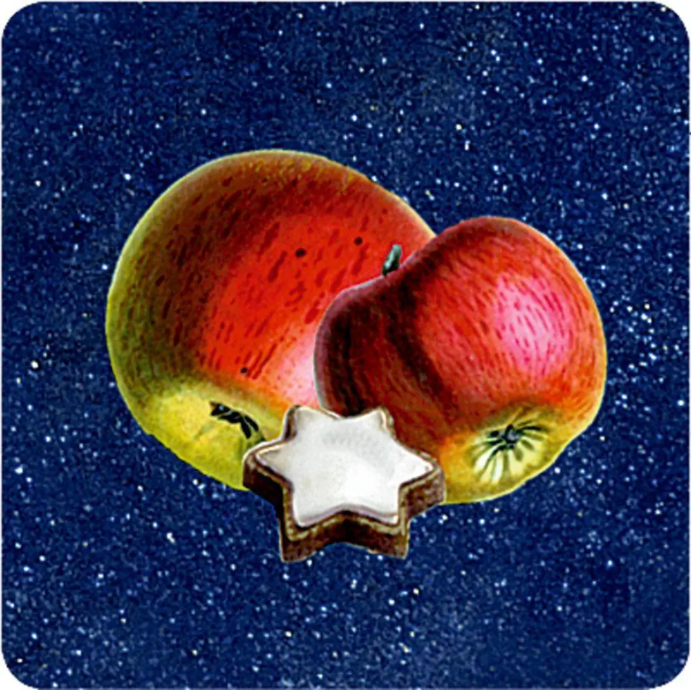 Bild: 4050003952697 | Schachtelspiel | Nostalgisches Weihnachtsbingo | Barbara Behr | Spiel