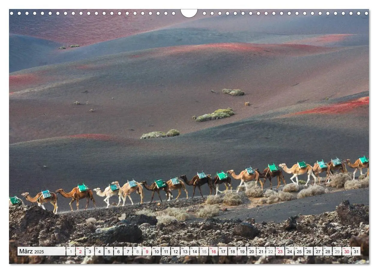 Bild: 9783435612697 | LANZAROTE Vulkanische Landschaften (Wandkalender 2025 DIN A3 quer),...