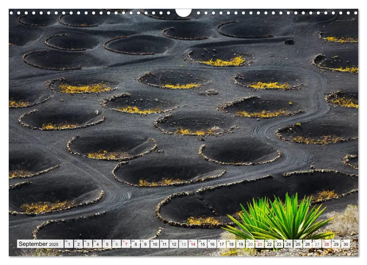 Bild: 9783435612697 | LANZAROTE Vulkanische Landschaften (Wandkalender 2025 DIN A3 quer),...