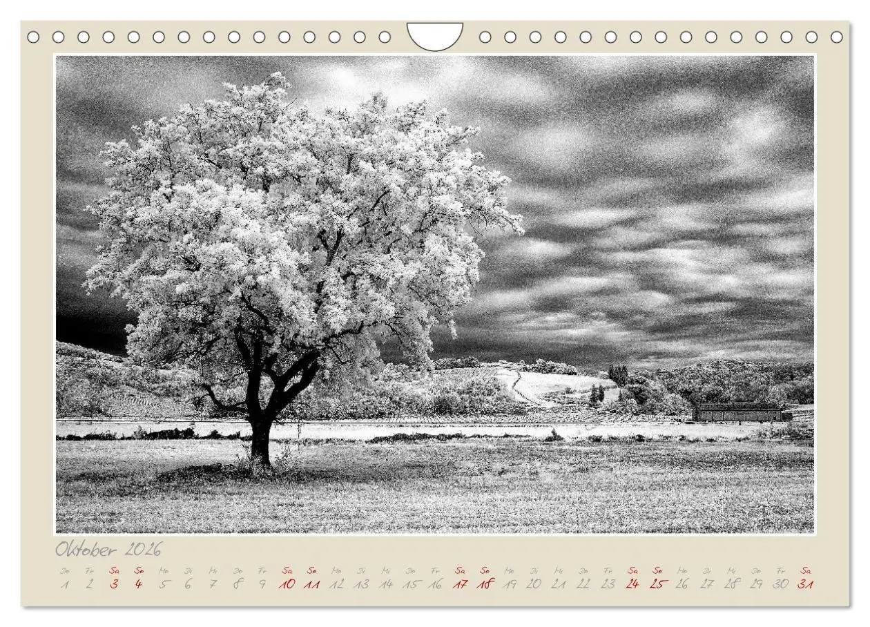 Bild: 9783457632697 | Toskana - Pisa und seine Umgebung (Wandkalender 2026 DIN A4 quer),...