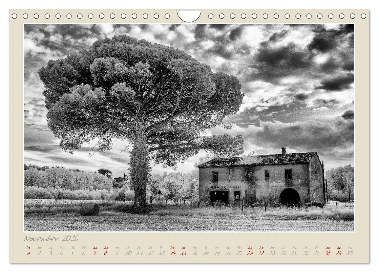 Bild: 9783457632697 | Toskana - Pisa und seine Umgebung (Wandkalender 2026 DIN A4 quer),...