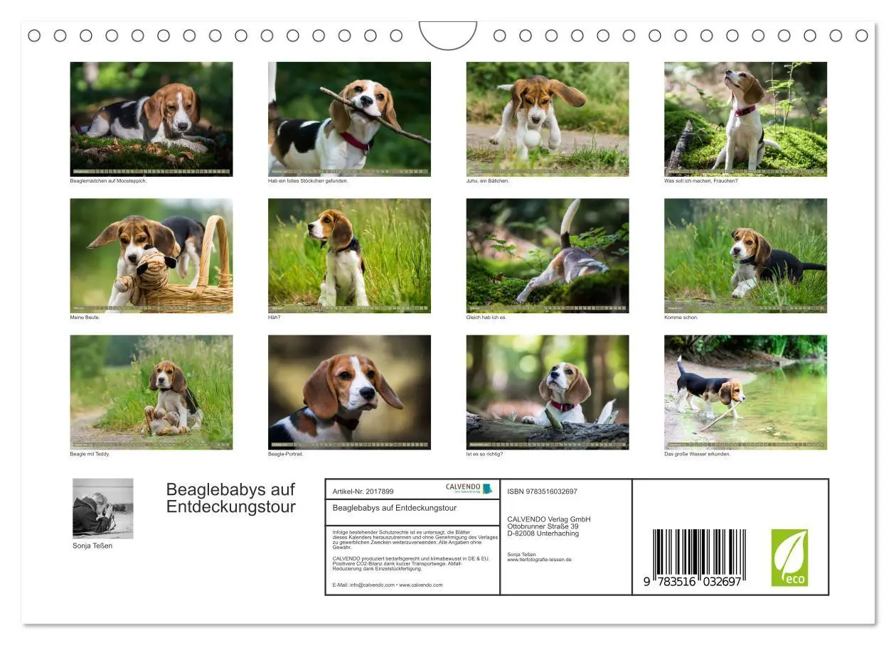 Bild: 9783516032697 | Beaglebabys auf Entdeckungstour (Wandkalender 2026 DIN A4 quer),...