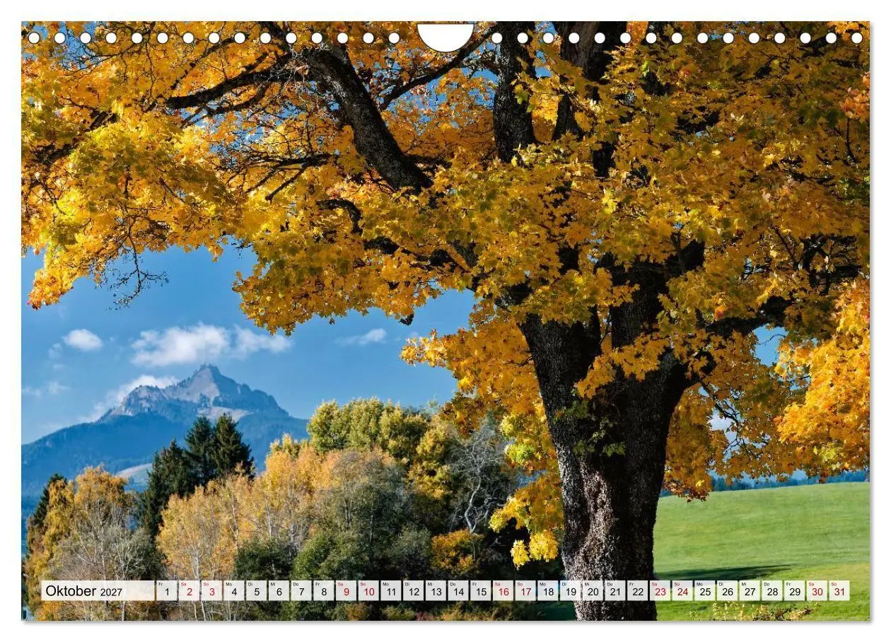 Bild: 9783594252697 | Traumhaftes Allgäu (Wandkalender 2027 DIN A4 quer), CALVENDO...