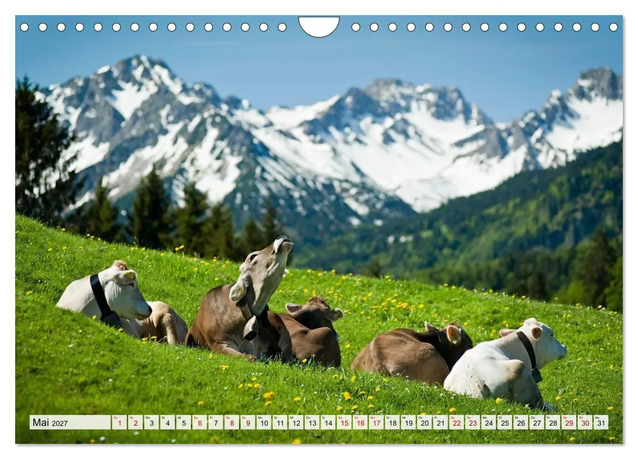 Bild: 9783594252697 | Traumhaftes Allgäu (Wandkalender 2027 DIN A4 quer), CALVENDO...