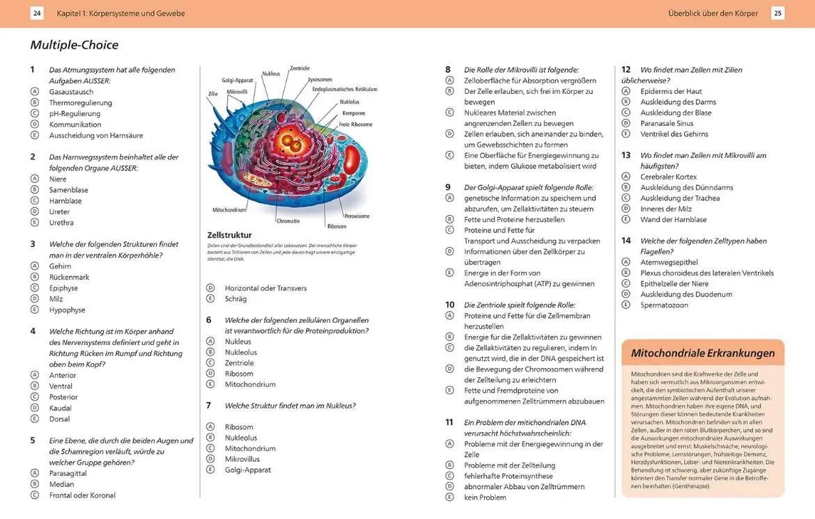 Bild: 9789463592697 | Arbeitsbuch Anatomie Komplett | P. Carter (u. a.) | Taschenbuch | 2025