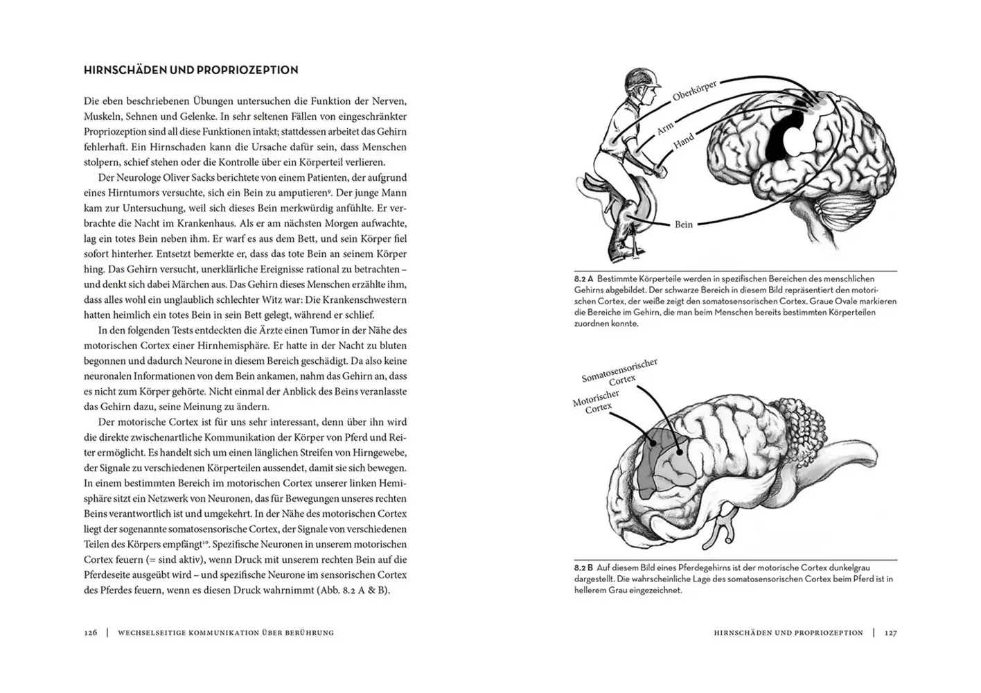 Bild: 9783440172797 | Horse Brain, Human Brain | Janet L. Jones | Taschenbuch | 336 S.