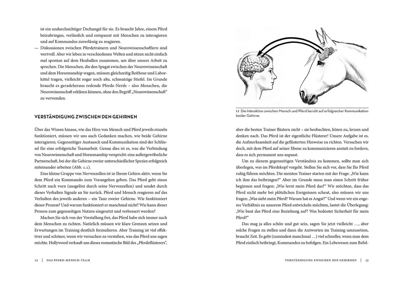 Bild: 9783440172797 | Horse Brain, Human Brain | Janet L. Jones | Taschenbuch | 336 S.