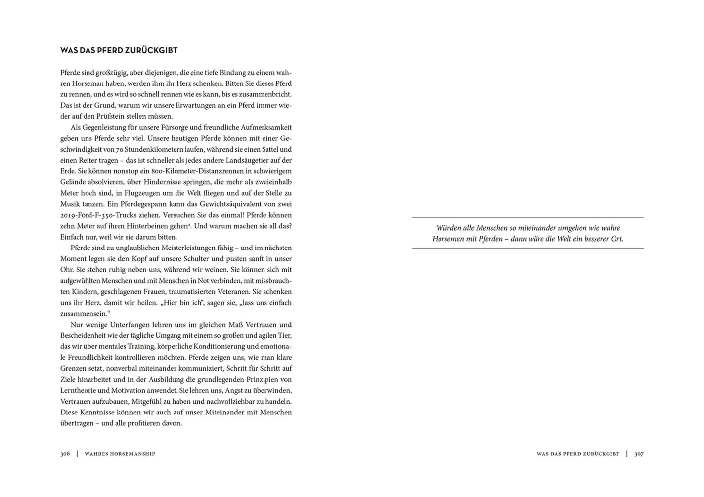 Bild: 9783440172797 | Horse Brain, Human Brain | Janet L. Jones | Taschenbuch | 336 S.