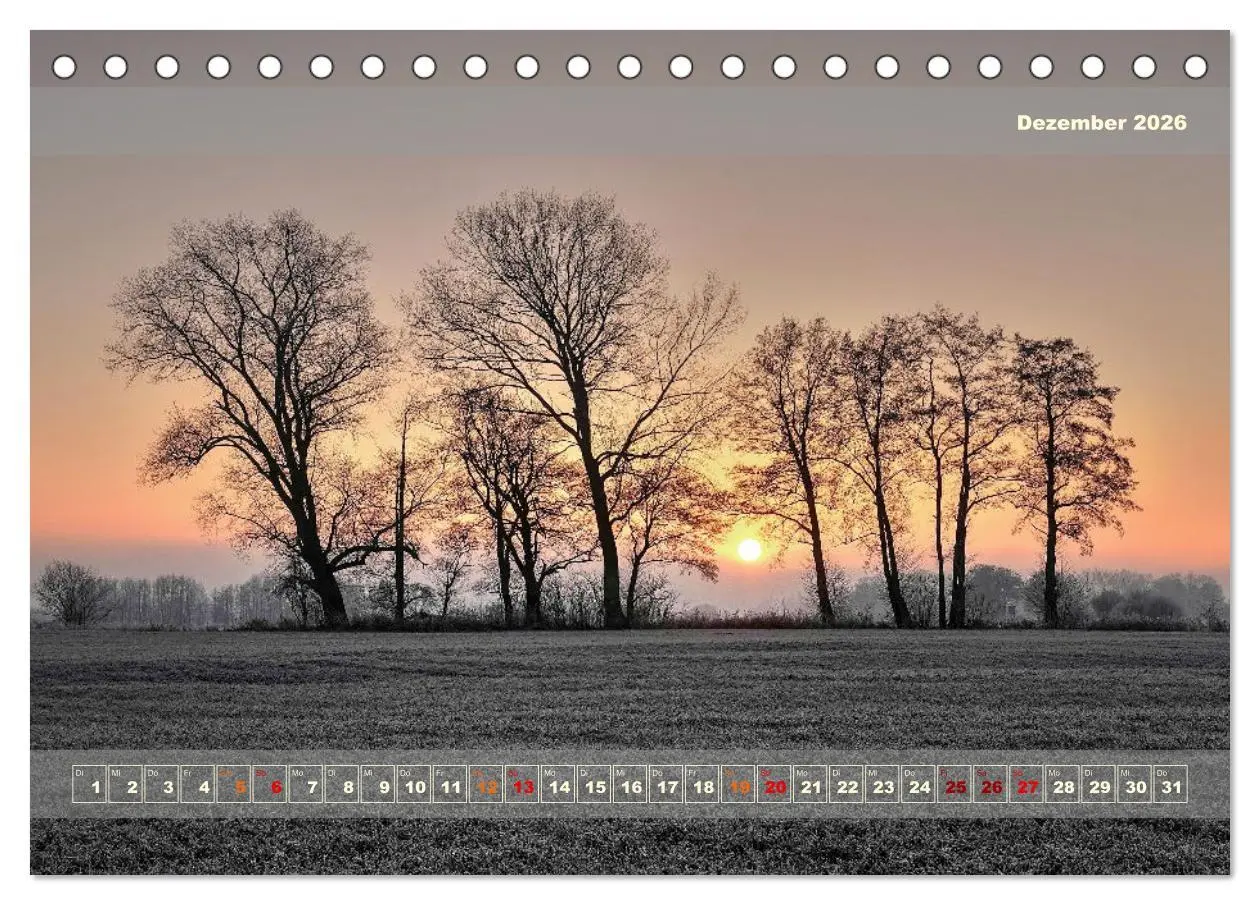 Bild: 9783457482797 | Licht im Land (Tischkalender 2026 DIN A5 quer), CALVENDO...