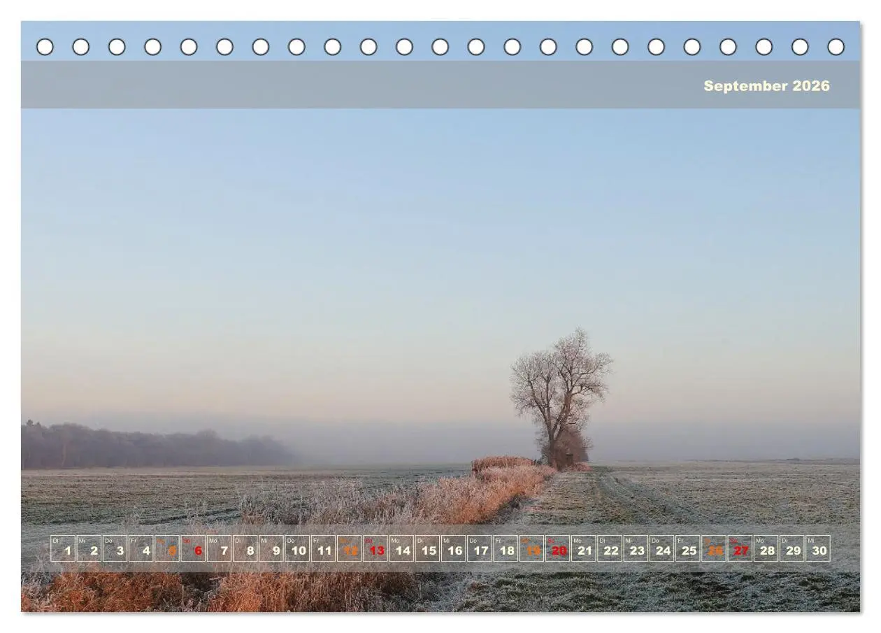 Bild: 9783457482797 | Licht im Land (Tischkalender 2026 DIN A5 quer), CALVENDO...