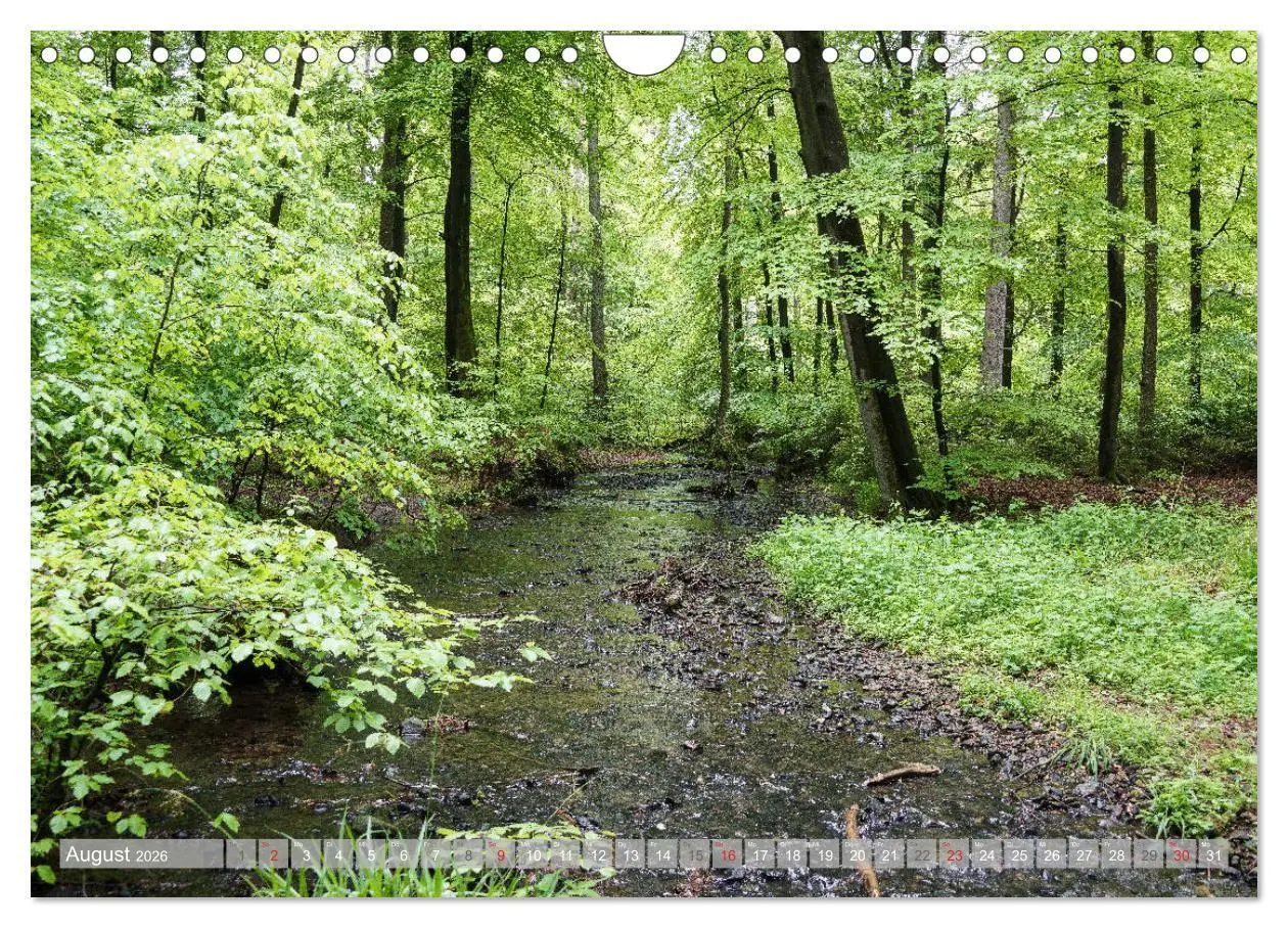 Bild: 9783457792797 | Teutoburger Wald - Natur und Kultur (Wandkalender 2026 DIN A4...