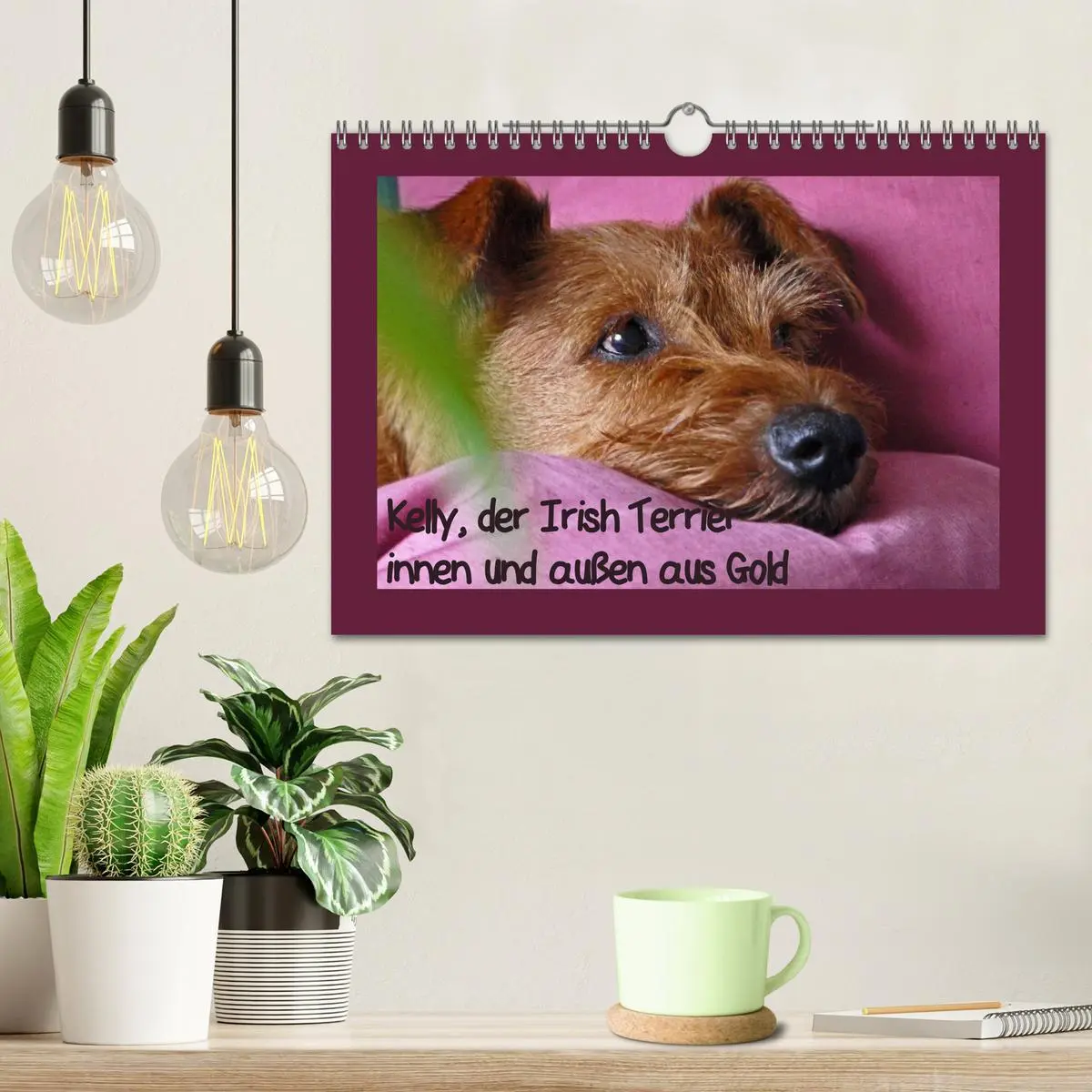 Bild: 9783457932797 | Kelly, der Irish Terrier - innen und außen aus Gold (Wandkalender...