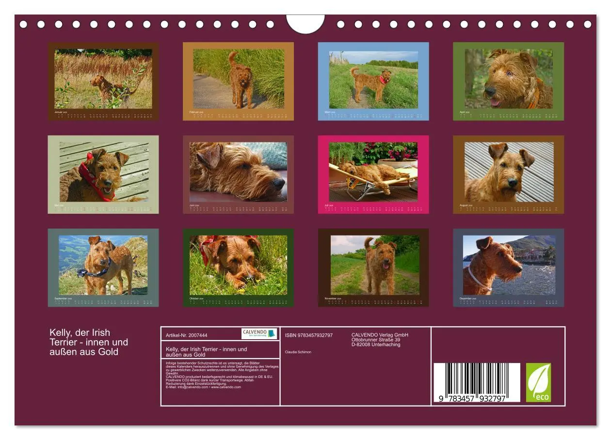 Bild: 9783457932797 | Kelly, der Irish Terrier - innen und außen aus Gold (Wandkalender...
