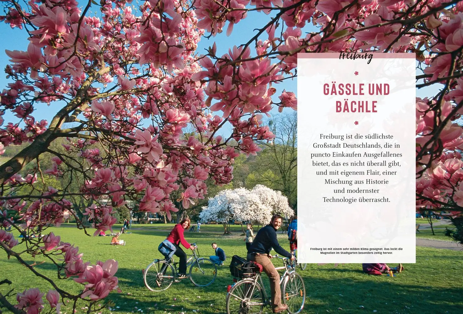 Bild: 9783616012797 | DUMONT Bildatlas Freiburg, Colmar, Basel | Cornelia Tomaschko | Buch