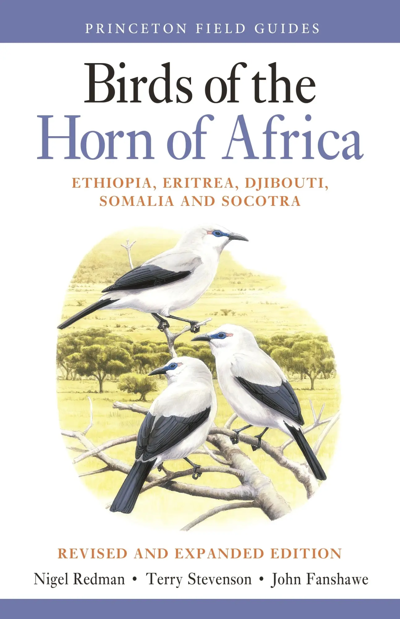 Cover: 9780691172897 | Birds of the Horn of Africa | Nigel Redman (u. a.) | Taschenbuch