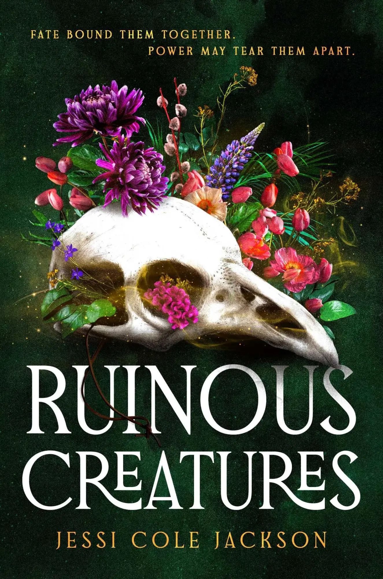Cover: 9781668092897 | Ruinous Creatures | A Novel | Jessi Cole Jackson | Buch | Englisch