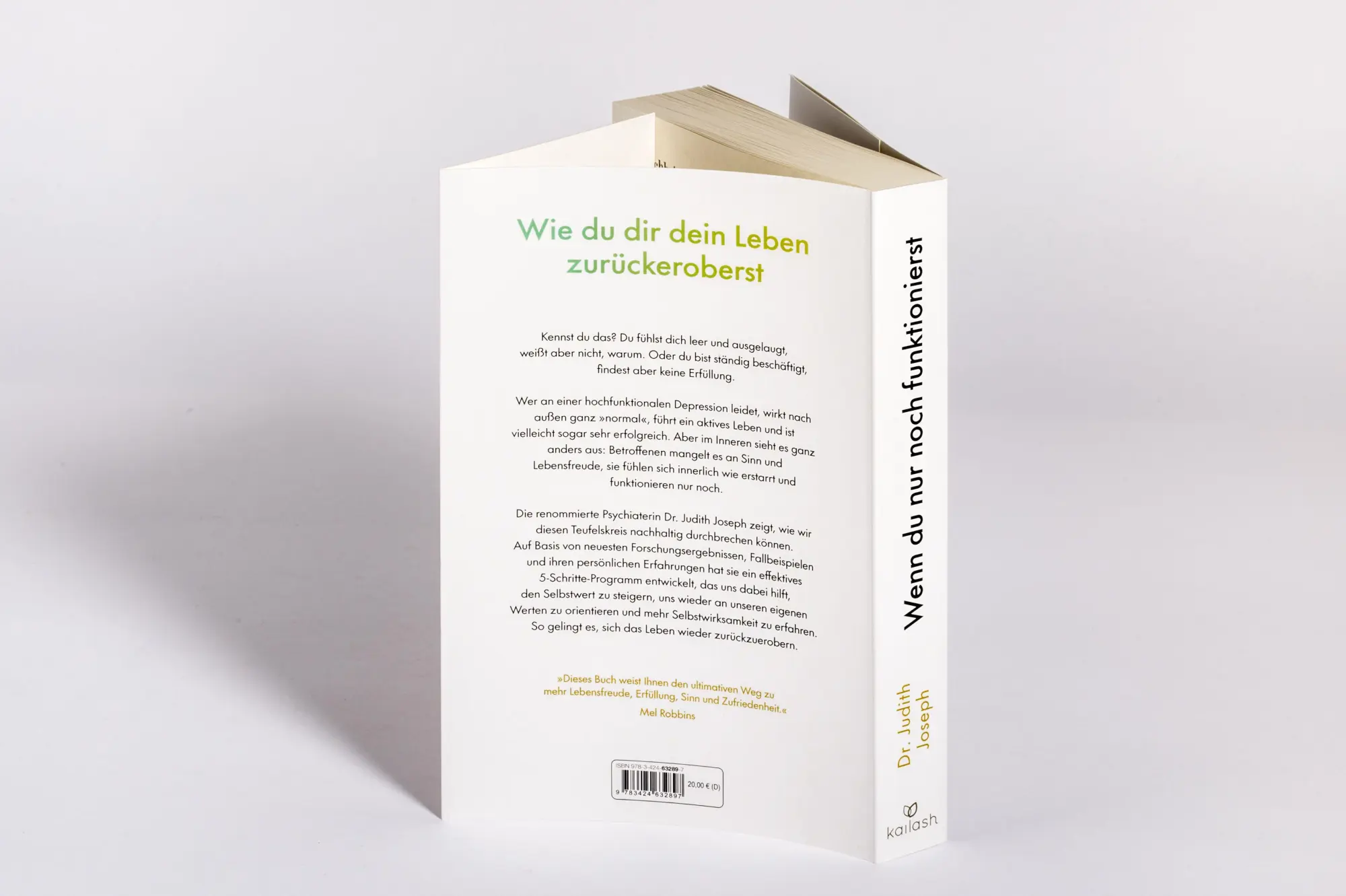Bild: 9783424632897 | Wenn du nur noch funktionierst | Judith Joseph | Taschenbuch | 320 S.