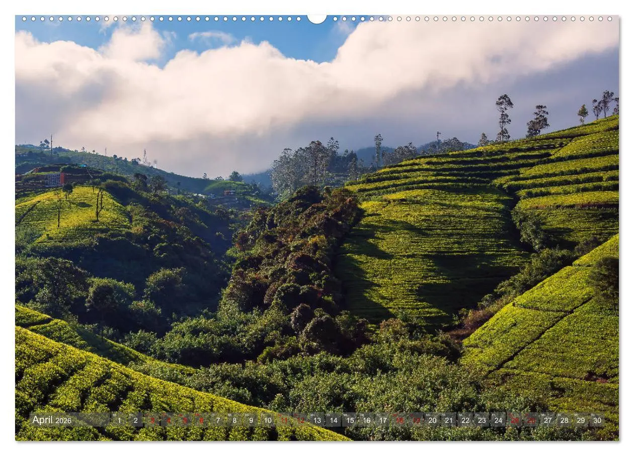 Bild: 9783457852897 | Reise nach Sri Lanka (Wandkalender 2026 DIN A2 quer), CALVENDO...