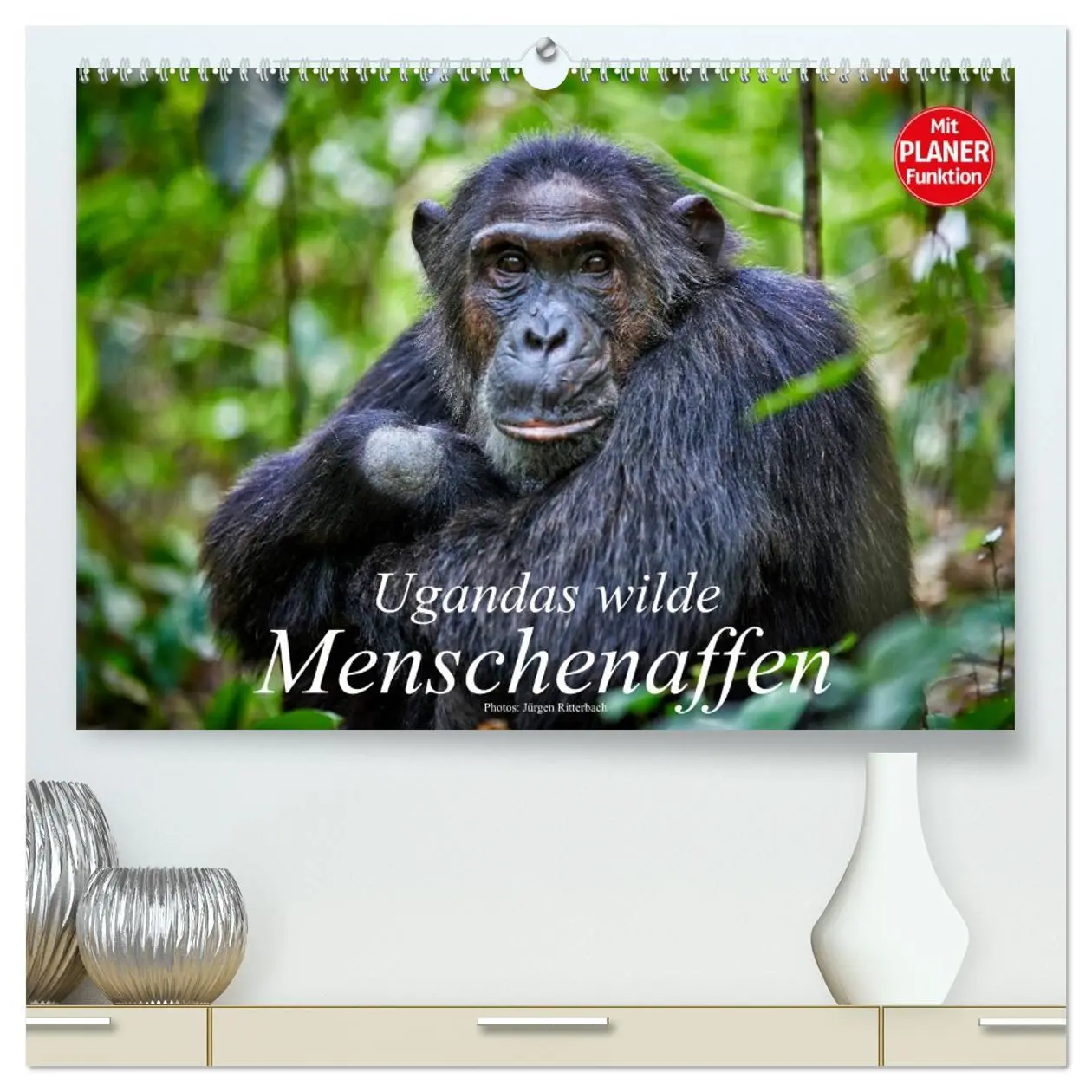 Cover: 9783516012897 | Ugandas wilde Menschenaffen (hochwertiger Premium Wandkalender 2026...
