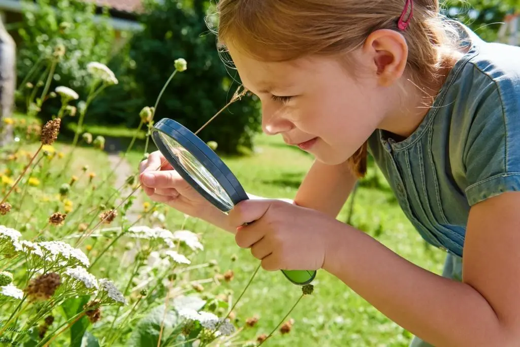 Bild: 4010168232997 | Terra Kids Kinder-Lupe | Terra Kids | Deutsch | 2018