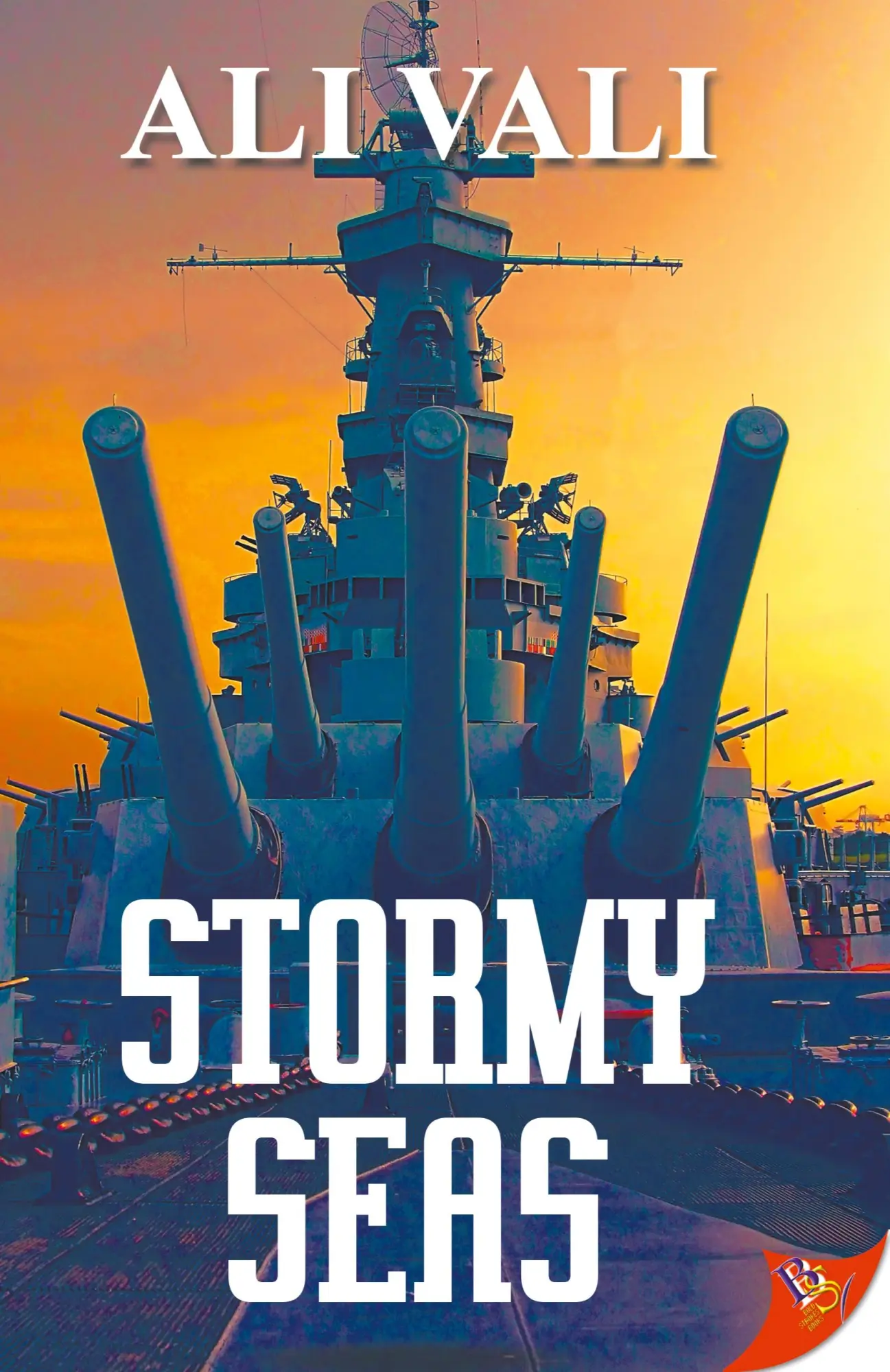 Cover: 9781635552997 | Stormy Seas | Ali Vali | Taschenbuch | Englisch | 2019